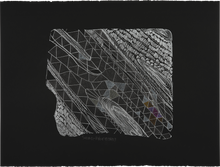 Load image into Gallery viewer, untitled 10
