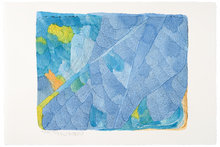 Load image into Gallery viewer, untitled 1
